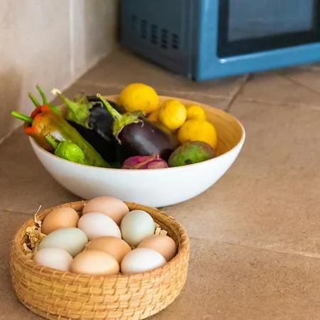 Private - Pool - Orchard - Wood-fired Oven Casa vacanze