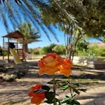 בית נופש Private House With Pool & Garden *